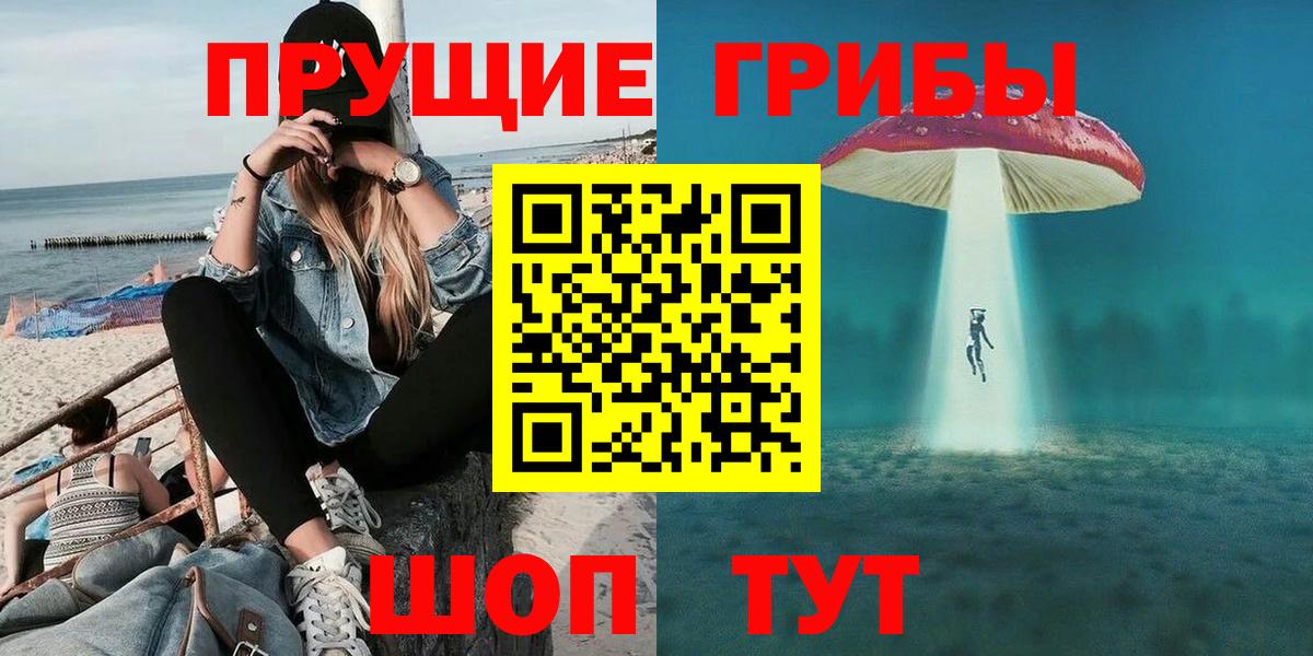 как найти   Вход с VPN  Сызрань  Галлюциногенные грибы Psilocybe 