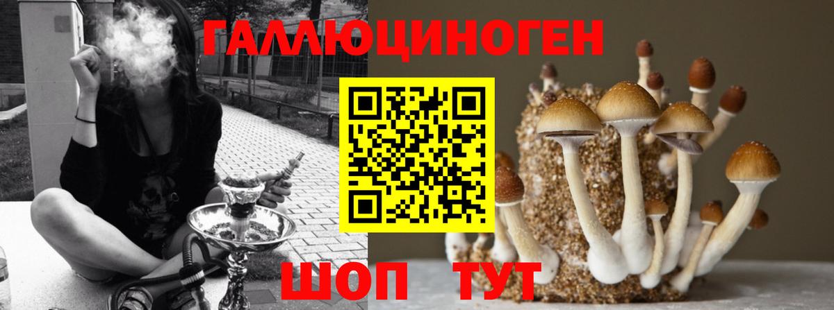 Псилоцибиновые грибы прущие грибы Сызрань